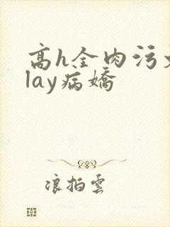 高h全肉污文play病娇