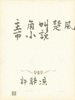 主角叫楚风的都市小说
