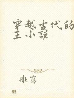 穿越古代的双男主小说