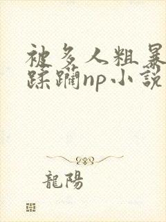 被多人粗暴进入蹂躏np小说