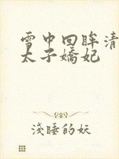 雪中回眸清穿之太子娇妃