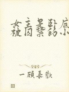 女主是卧底失败被囚禁的小说