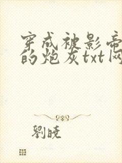 穿成被影帝抛弃的炮灰txt网盘