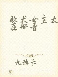 败犬女主太多了在哪看