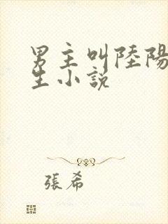 男主叫陆阳的重生小说