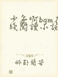 少年啊bgm在线阅读小说 全部章节