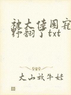 被大佬团宠后我野翻了txt