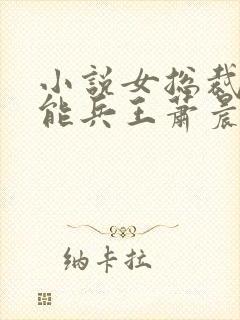 小说女总裁的全能兵王萧晨全文免费