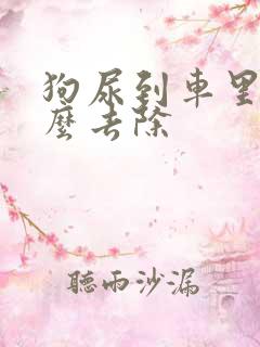 狗尿到车里味怎么去除