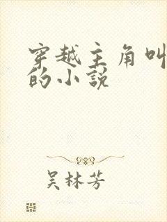 穿越主角叫林枫的小说