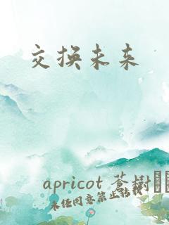 交换未来