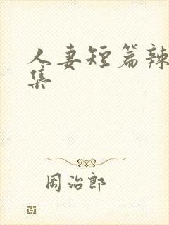 人妻短篇辣文合集