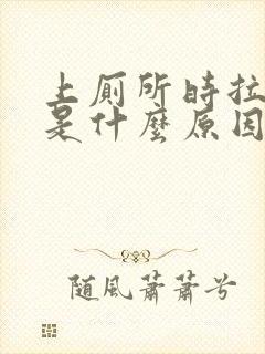 上厕所时拉出血是什么原因