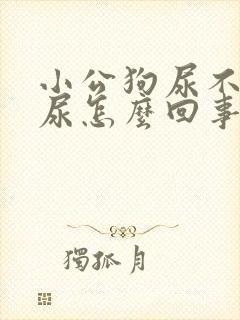 小公狗尿不出来尿怎么回事