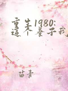 重生1980:这个养子我不当了电视剧