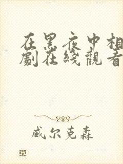 在黑夜中相遇短剧在线观看