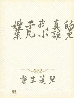 嫂子我真的不傻叶凡小说免费