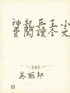 神龙兵王小说免费阅读全文