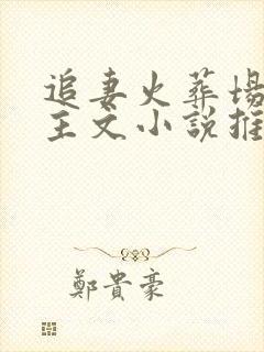 追妻火葬场双女主文小说推荐