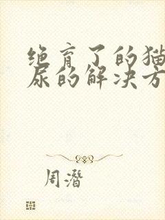 绝育了的猫咪乱尿的解决方法