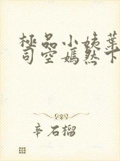 极品小姨叶凡和司空嫣然下载