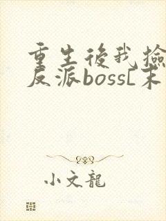 重生后我捡到了反派boss[末世]
