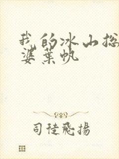 我的冰山总裁老婆叶帆