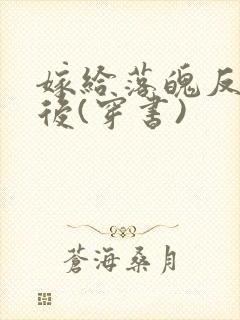 嫁给落魄反派之后(穿书)