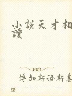 小说天才相师阅读