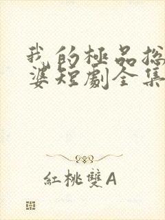 我的极品总裁老婆短剧全集免费