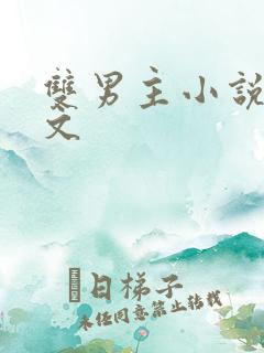 双男主小说重生文