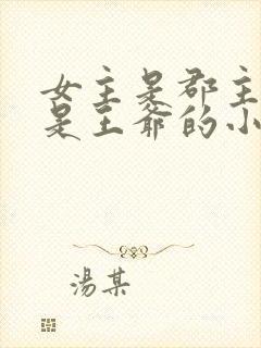 女主是郡主男主是王爷的小说