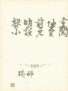 黎明前他会归来小说免费阅读全文