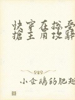 快穿在总受文里抢主角攻辞玖txt