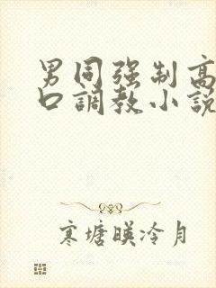 男同强制高潮重口调教小说