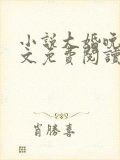 小说大婚晚成全文免费阅读