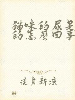 猫咪的尿是红色的怎么回事