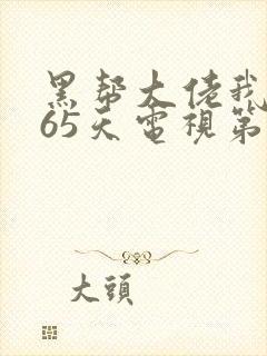 黑帮大佬我的365天电视第三季