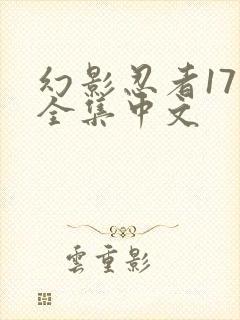 幻影忍者17季全集中文