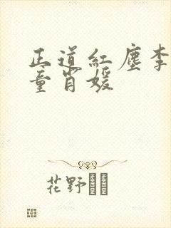 正道红尘李初年童肖媛