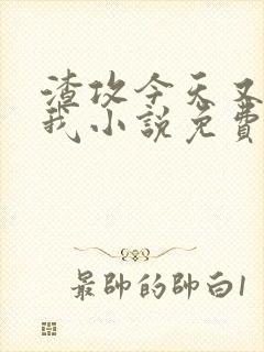 渣攻今天又渣了我小说免费阅读