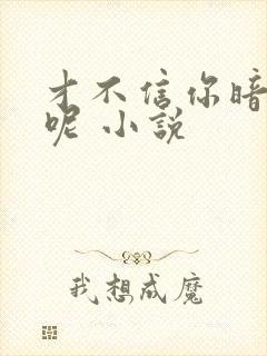 才不信你暗恋我呢 小说