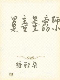 男主是帝师女主是重生的小说