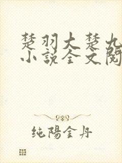 楚羽大楚九皇子小说全文阅读