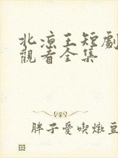 北凉王短剧免费观看全集