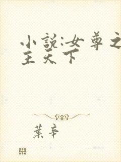 小说:女尊之凤主天下