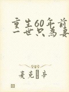 重生60年前这一世只为妻儿免费观看