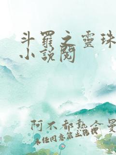 斗罗之灵珠神剑小说阅