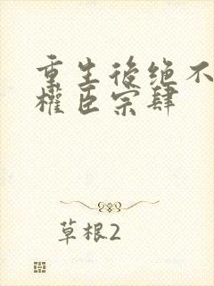 重生后绝不嫁给权臣宗肆