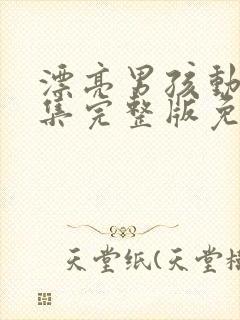 漂亮男孩动漫全集完整版免费观看